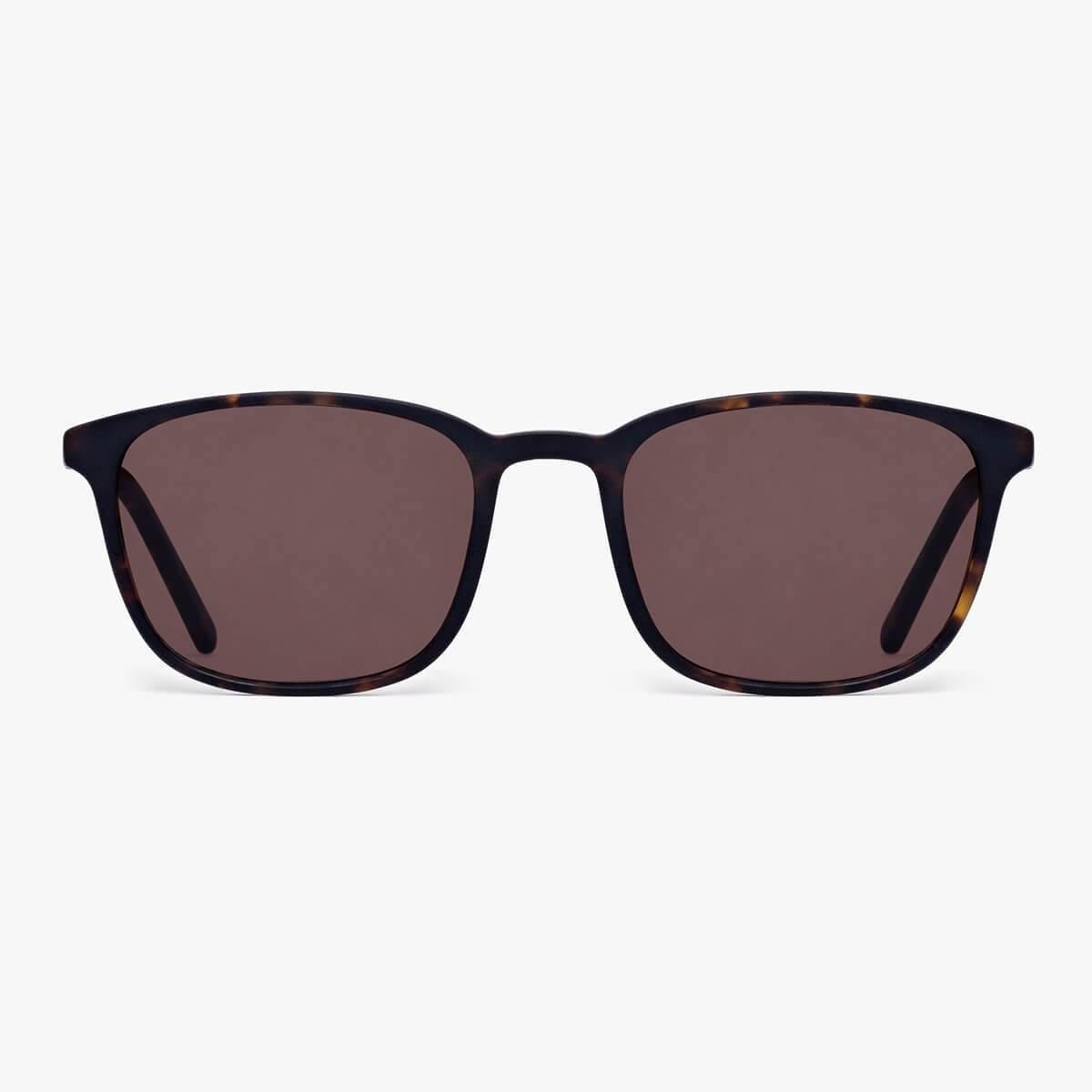 Men's Ebeltoft Dark Turtle sunglasses with dark lenses and tortoiseshell frame