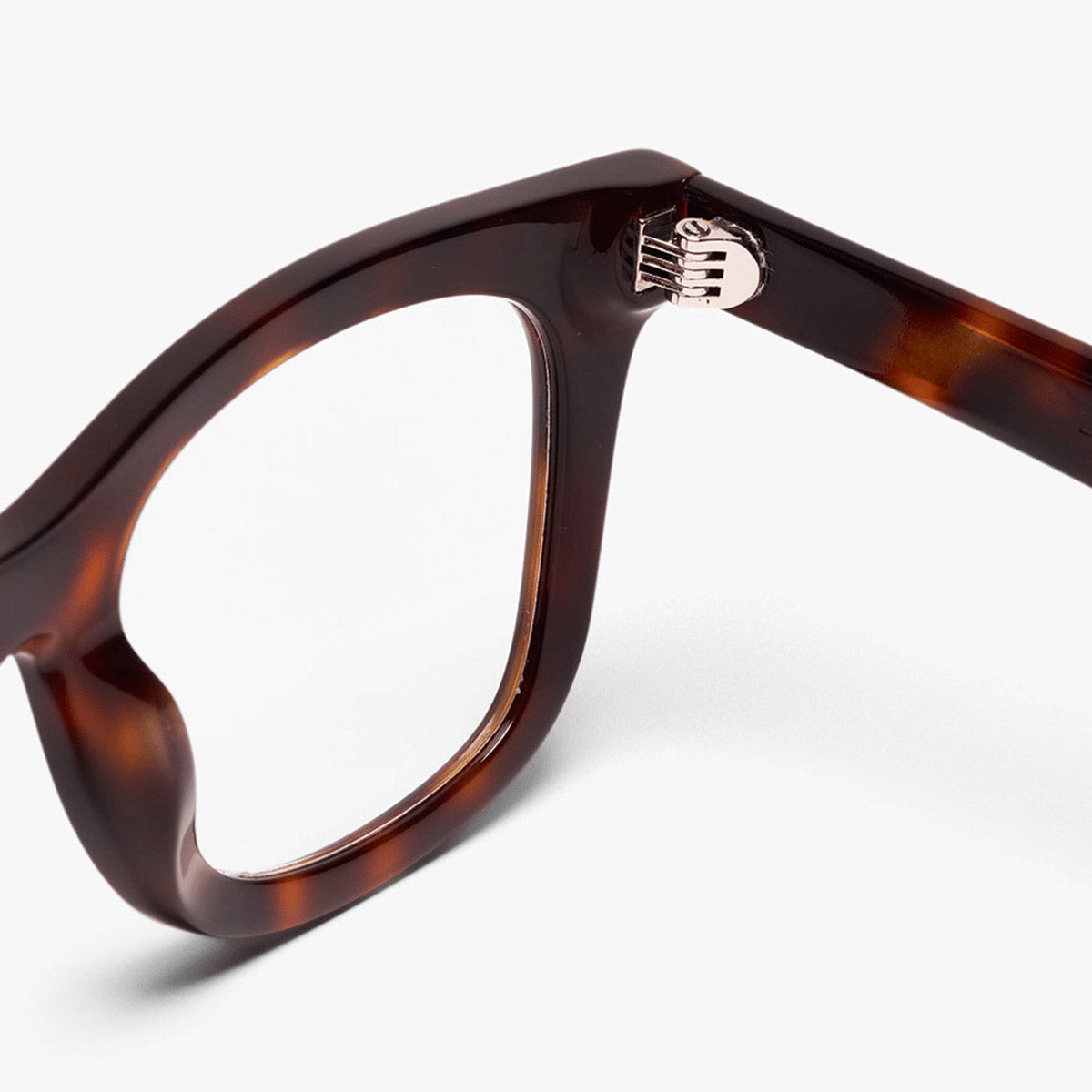 Close-up of brown tortoise shell eyeglass frame