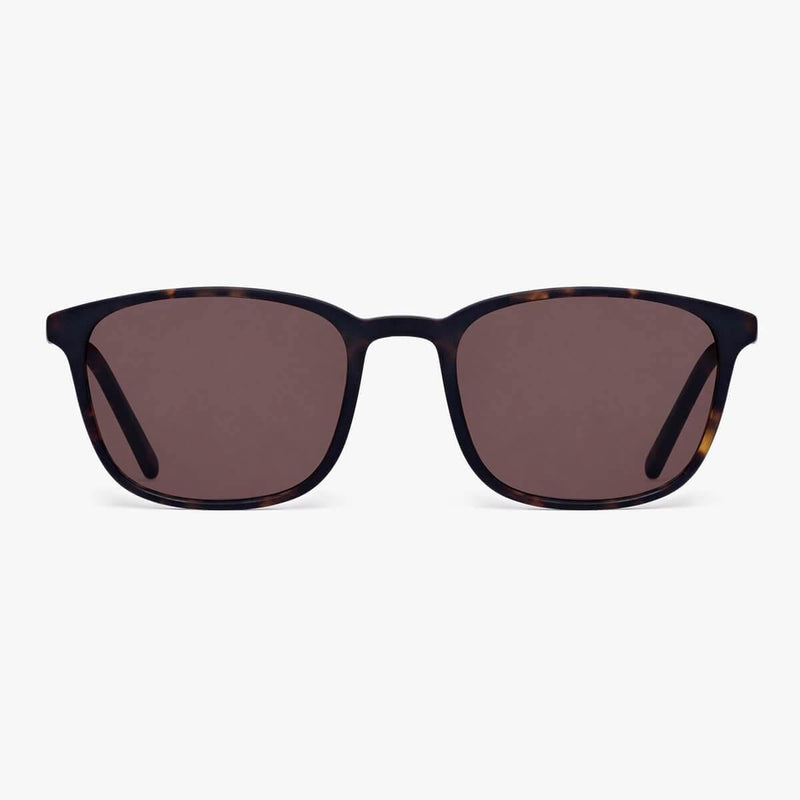 Women's Ebeltoft Dark Turtle sunglasses with dark lenses and tortoise shell frame