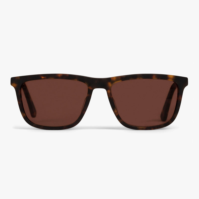 Women's Oslo Dark Turtle sunglasses with tortoiseshell frame and brown lenses